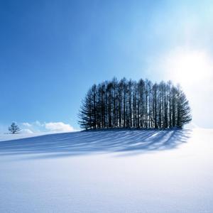 毛茸茸多毛BBBBB毛多
