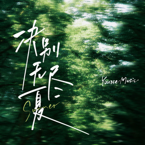 毛茸茸多毛BBBBB毛多
