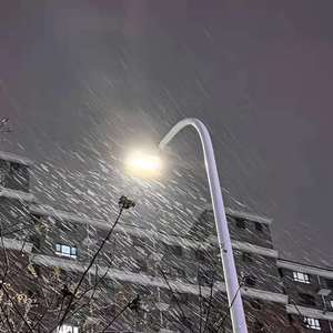 毛茸茸多毛BBBBB毛多
