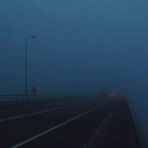 毛茸茸多毛BBBBB毛多
